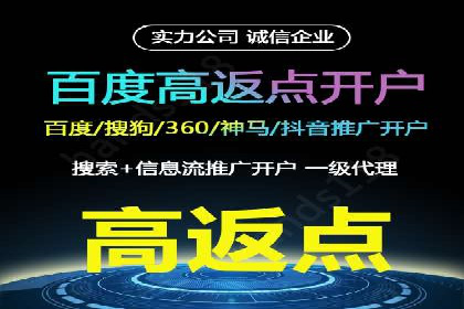 百度推广竞价全解析：某电商平台的营销策略
