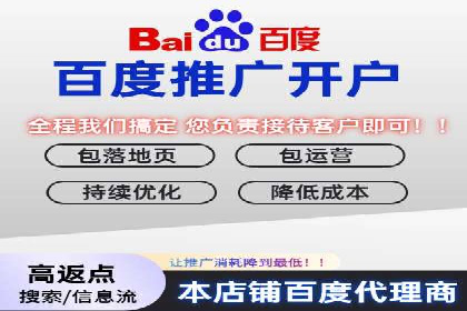 百度竞价广告投放策略：案例分析及效果评估